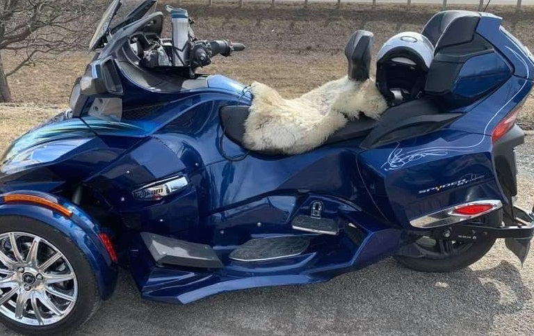 RT 2013-2019 Luxury footboard kit