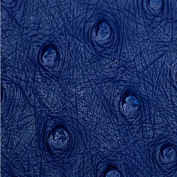 Black double seat with ostrich imitation trim in color included Driver and Passenger backrest for your RT 2010 - 2019 from Ultimate Seat