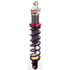 Elka front shocks for Spyder RT / RTS 2014-2020 (one pair)