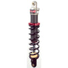 Elka front shocks for Spyder RT / RTS 2013 (one pair)