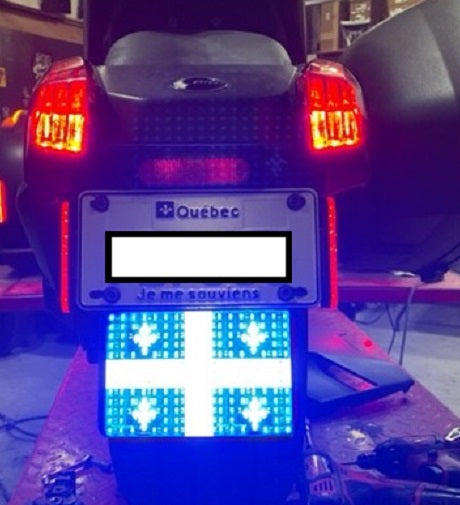 Quebec flag in LED with installation plate