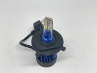 180 Degree T2 LED Replacement Bulbs for RYKER